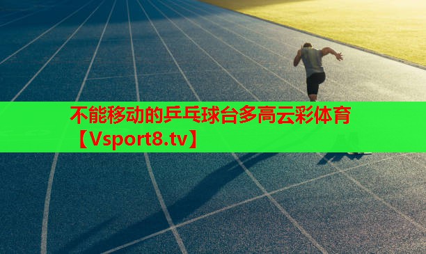 不能移动的乒乓球台多高云彩体育