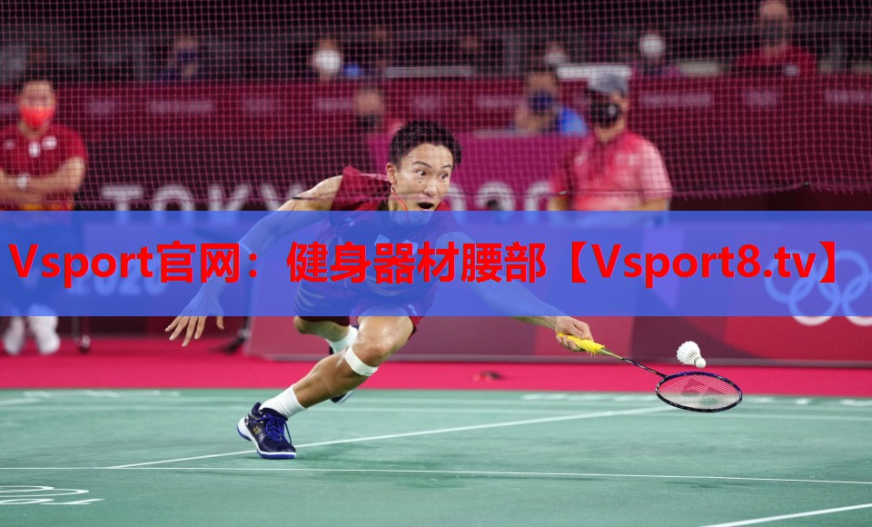 Vsport官网：健身器材腰部