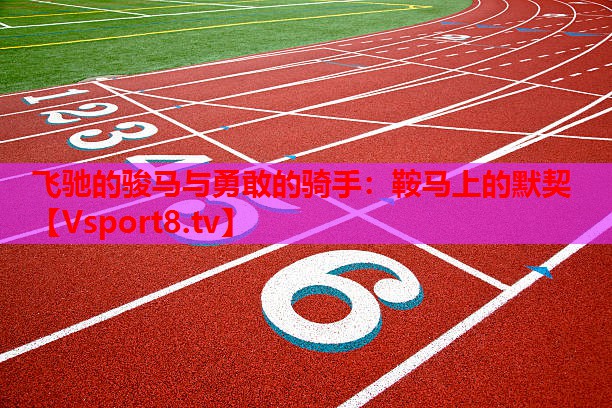 飞驰的骏马与勇敢的骑手：鞍马上的默契